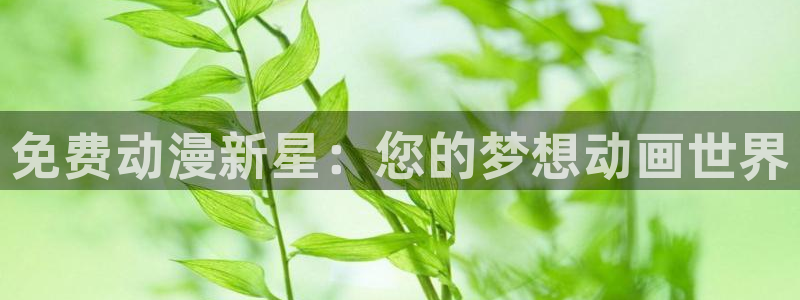 变形金刚78动漫网